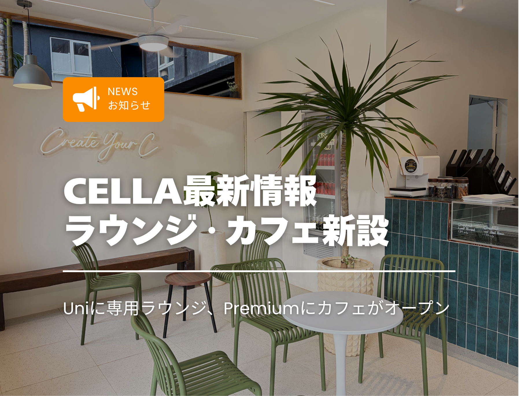 フィリピン留学　CELLA　セラ　セブ島留学　学校　設備